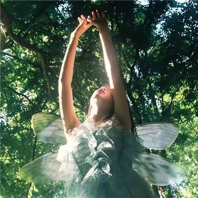 时间的桥梁
